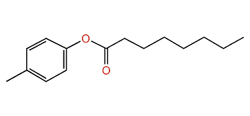 4-Methylphenyl octanoate